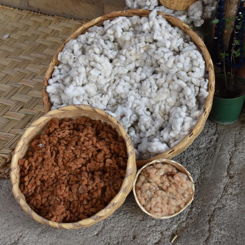 Lac Atitlan : les 3 variétés de coton